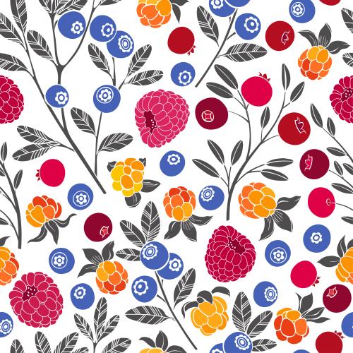 树莓、云莓、越橘和蓝莓白底